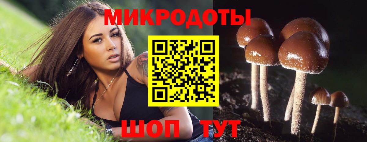 Псилоцибиновые грибы мухоморы  Вход с VPN  Галлюциногенные грибы Psilocybine cubensis  наркотики  Бугуруслан 